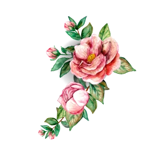 shap 2 Cypress and Sage Design%